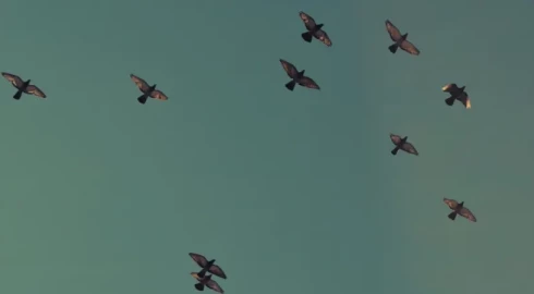 E-mail marketing: Jak stworzyć newsletter?