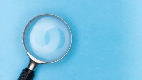 Wyszukiwarka e-commerce - wyszukiwarka w sklepie internetowym opartym o ICEberg CMS: