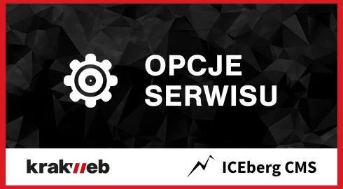 Słowa kluczowe, stopka, tytuł i opis strony www w ICEberg CMS