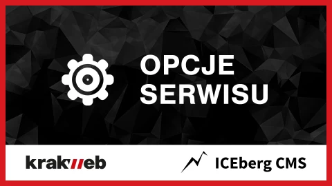 Słowa kluczowe, stopka, tytuł i opis strony www w ICEberg CMS