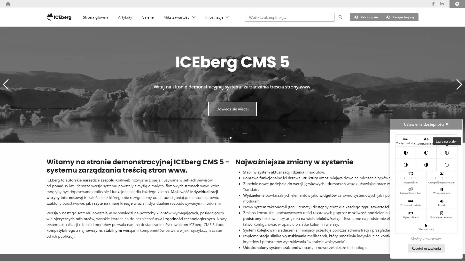 Szary tekst na białym tle - WCAG w ICEberg CMS 5