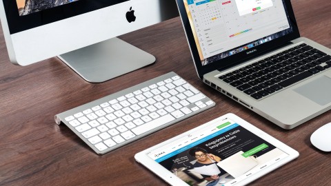 fot. Pexels - Pixabay Tworzenie portali internetowych - usługa projektowania, wdrażania i rozwoju portali