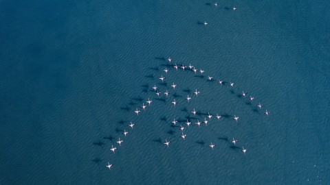 fot. Pexels - Ahmed ツ Migracja strony www a SEO. Zmiana strony internetowej bez utraty zasięgu i przychodów