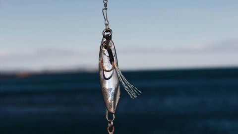 fot. Pexels - Maël BALLAND Haki (hooki) w marketingu
