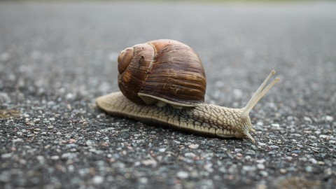 fot. Pexels - invisiblepower Wolne działanie sklepu internetowego podczas dużego ruchu: Przyczyny i rozwiązania - optymalizacja wydajności i szybkości serwisu e-commerce