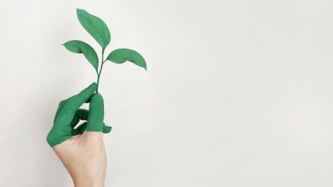fot. Pexels - Alena Koval Zrównoważony Rozwój w E-commerce: Jak Technologia Wspiera Zielone Przemiany?