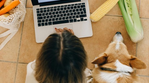 fot. Pexels - Nataliya Vaitkevich Personalizacja strony głównej e-commerce i strony firmowej