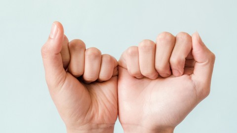 fot. Pexels - Kevin Malik Jak wdrożyć własny Pledge Manager? Kompletny przewodnik krok po kroku