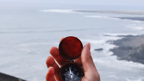 fot. Unsplash - Garrett Sears Lepsze SEO i widoczność w wyszukiwarce w serwisie wielodomenowym