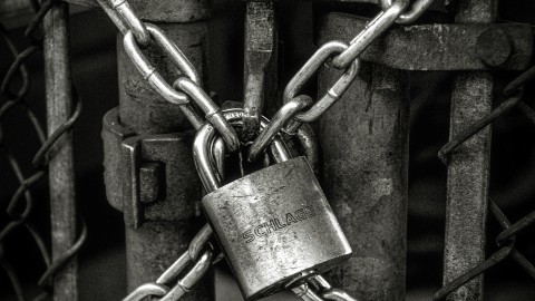 fot. Unsplash - John Salvino Bezpieczeństwo stron internetowych i tworzenie kopii zapasowych - usługi