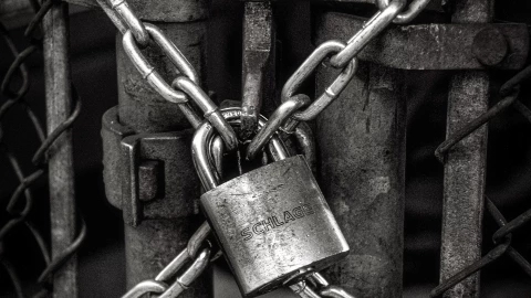 fot. Unsplash - John Salvino Bezpieczeństwo stron internetowych i tworzenie kopii zapasowych - usługi