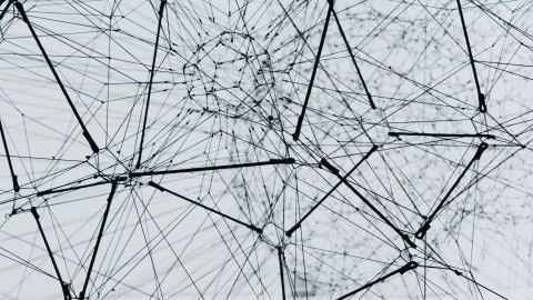 fot. Unsplash - Alina Grubnyak Treść dynamiczna (dynamic content) w systemie CMS obsługującym wiele witryn (multisite)
