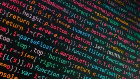 fot. Unsplash - Walkator Alt - Tekst alternatywny dla obrazów a WCAG (alt text w HTML). Dlaczego brak alt jest problemem?