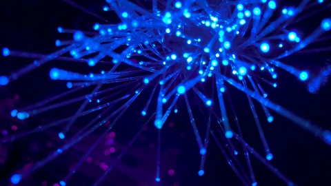 fot. Unsplash - JJ Ying Wdrożenie systemu B2B z sukcesem. Przewodnik krok po kroku