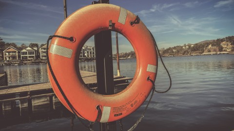 fot. Unsplash - Jametlene Reskp Wsparcie wprowadzania danych i zapobieganie błędom (prawnym, finsowym, danych) - WCAG 3.3 Poziom AA
