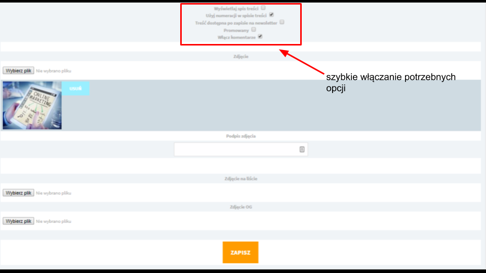 ICEberg CMS - moduł artykułu, szybkie opcje