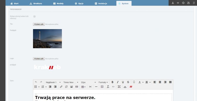 Tryb roboczy System  ICEberg CMS