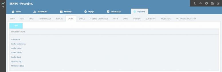 Cache System ICEberg CMS