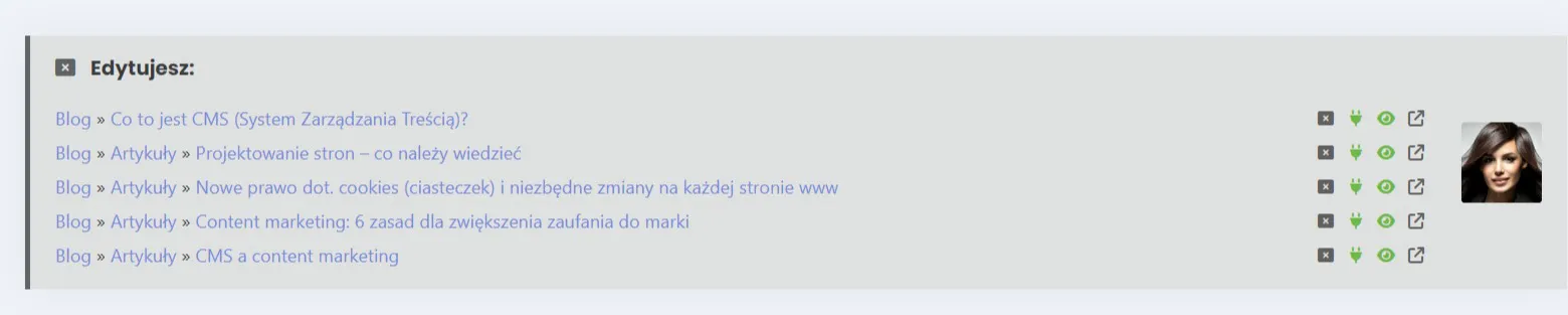 https://krakweb.com/co-to-jest-cms-system-zarzadzania-trescia Wiele podstron otwartych do edycji - ICEberg CMS 5