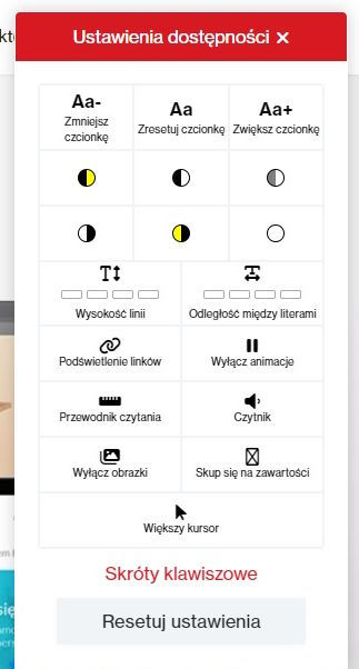 Plugin WCAG