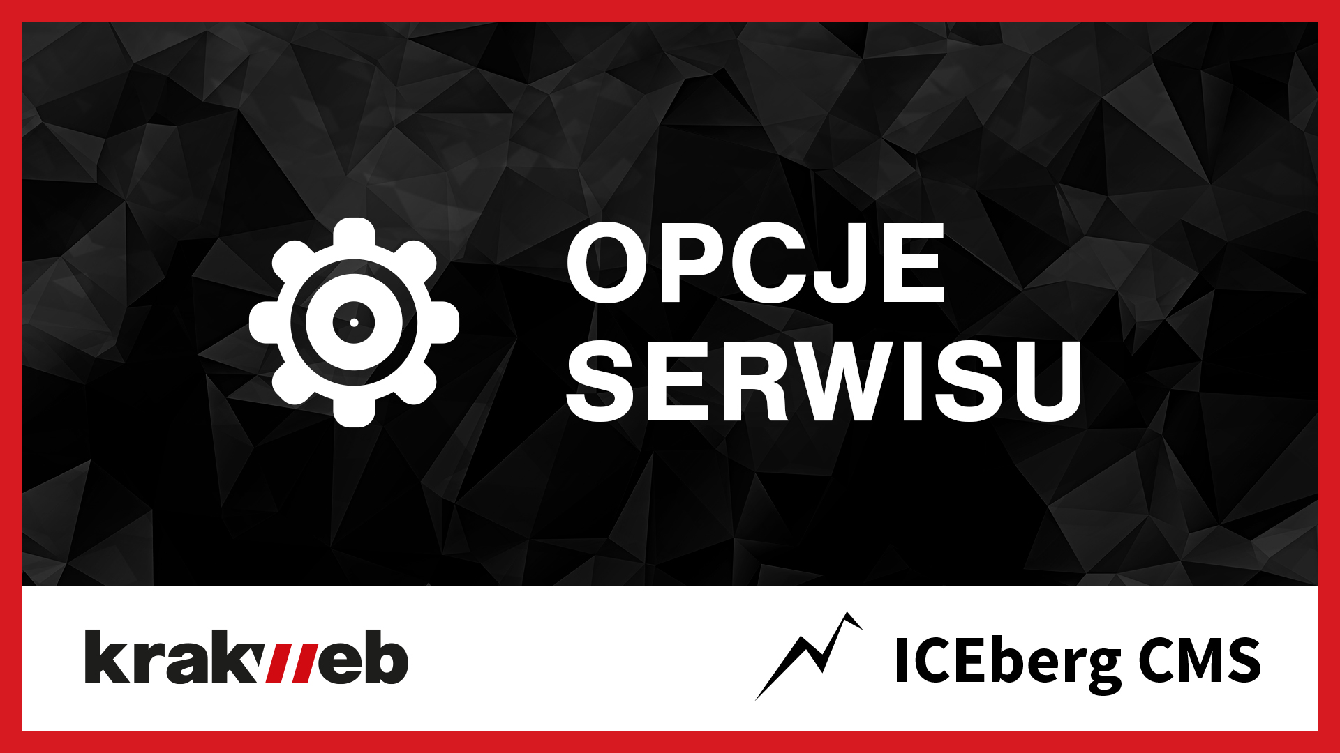 Opcje serwisu