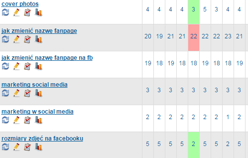 SEO pozycje